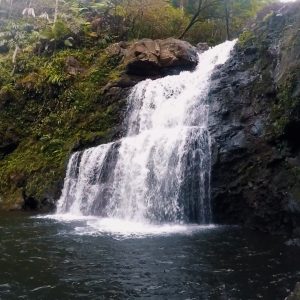 Nanue Falls - Hawaii Big Island - Epic Trip Adventures