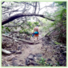 Honomalino Bay - Hawaii Big Island - Epic Trip Adventures
