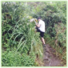 Searching For Narnia Hike - Hawaii Big Island - Epic Trip Adventures