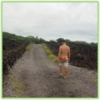 The trail to End Of The World - Hawaii Big Island - Epic Trip Adventures