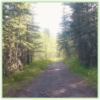 Ribbon Lake Trail - Kananaskis - Epic Trip Adventures