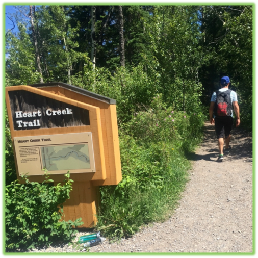 Heart Creek Trail - Canmore - Epic Trip Adventures