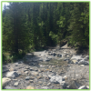 Heart Creek Trail - Canmore - Epic Trip Adventures