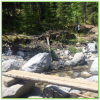 Heart Creek Trail - Canmore - Epic Trip Adventures
